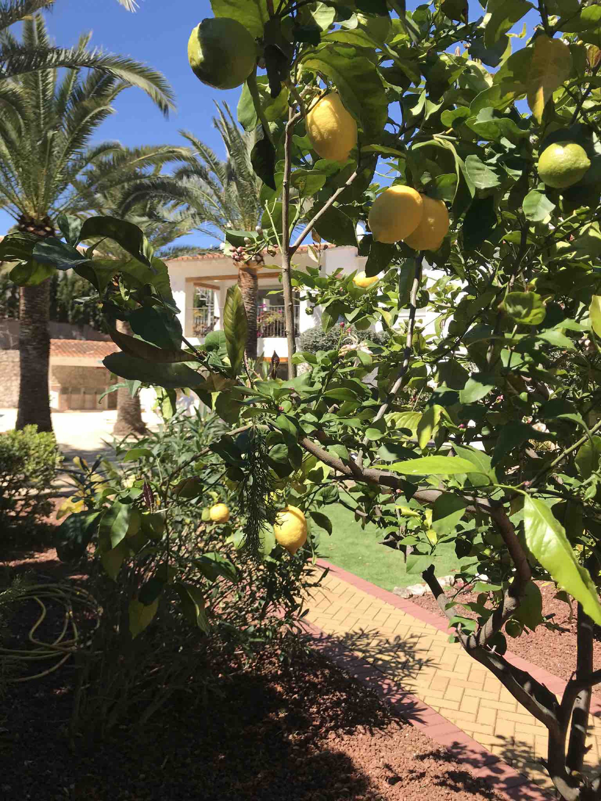 Villa La Barraca — photo 47