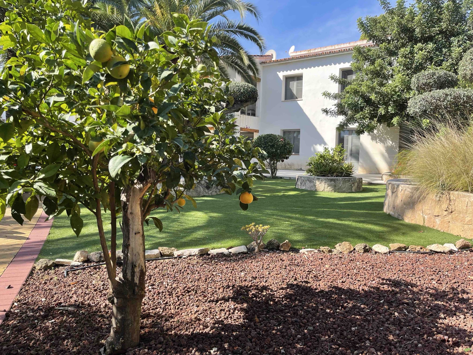 Villa La Barraca — photo 79