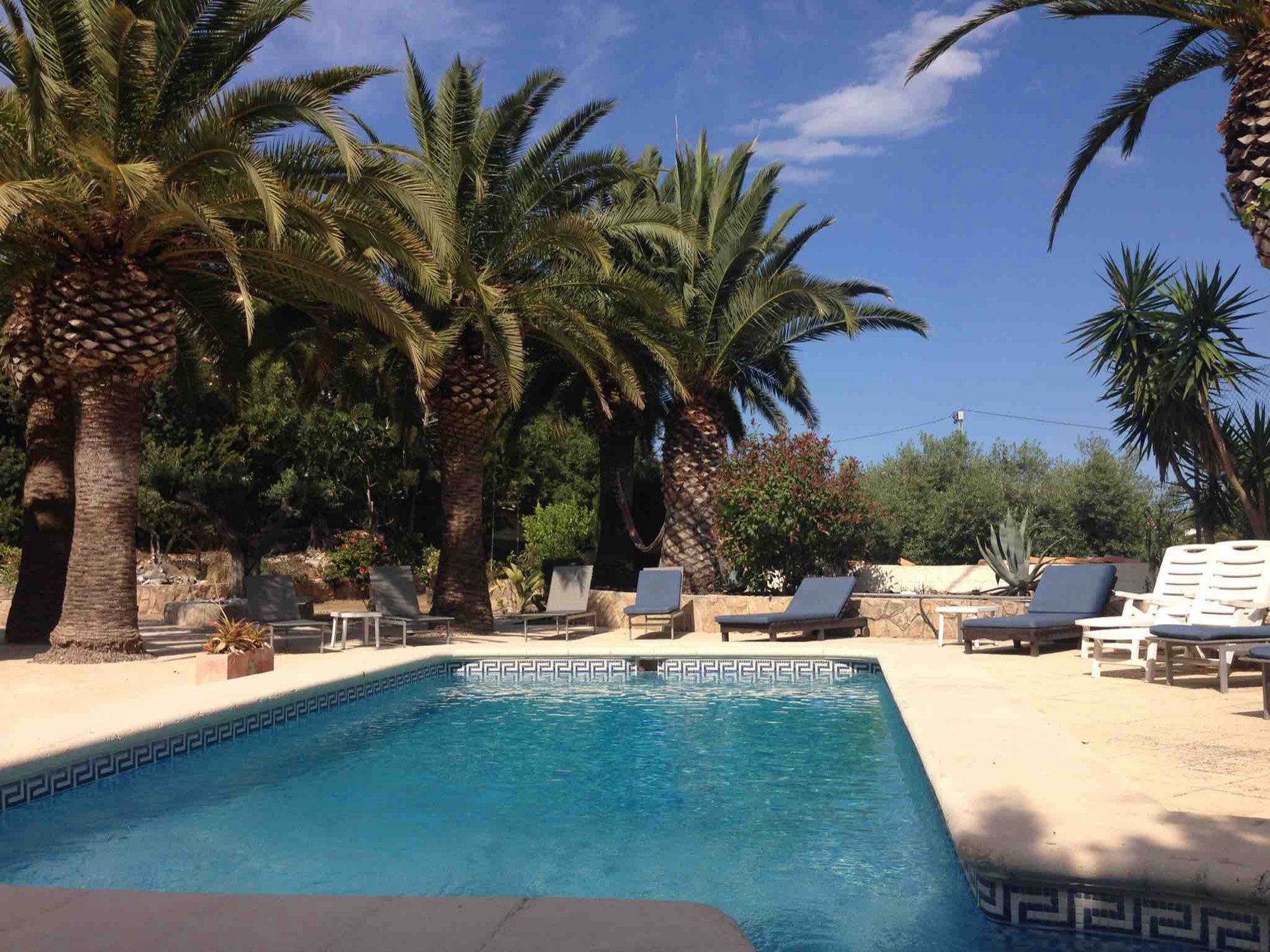 Villa La Barraca — photo 83